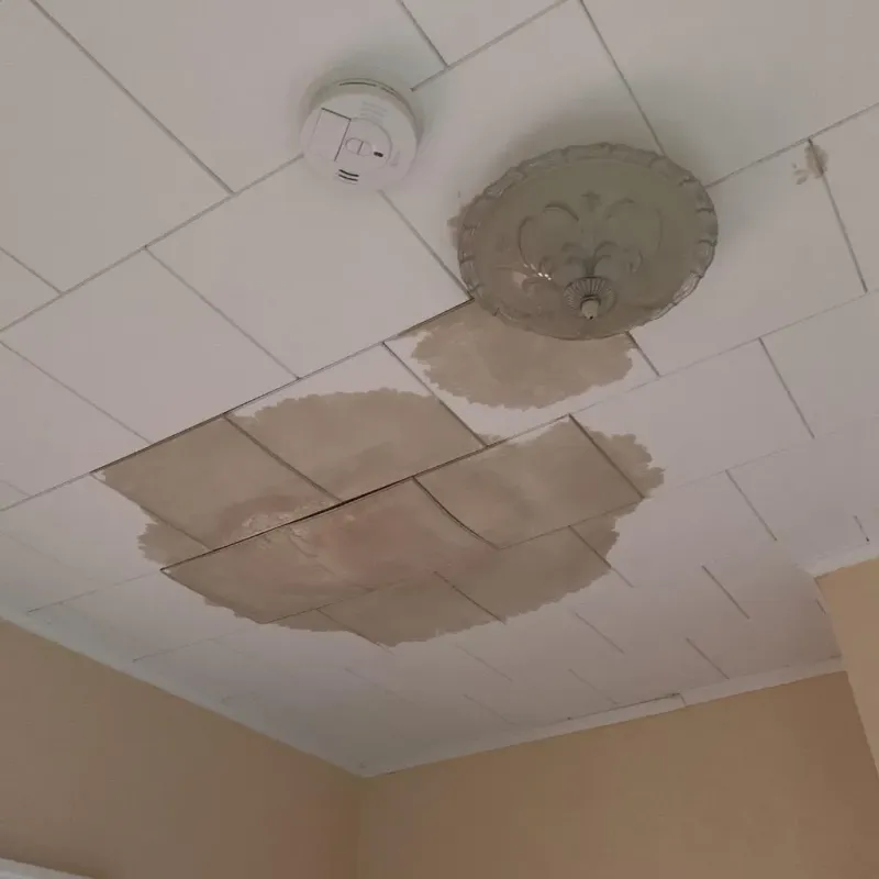 Ceiling Water Damage Repair in Manchester, MO